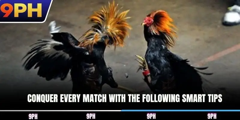 Conquer every match with the following smart tips