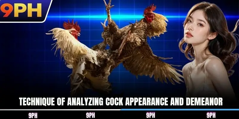 Technique of analyzing cock appearance and demeanor
